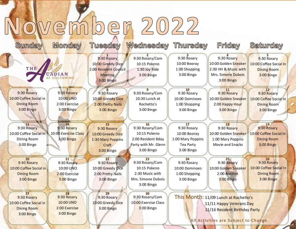 thumbnail of ACDN November 2022 Calendar – edited