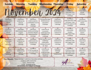 thumbnail of ACAD November 2024 Calendar FINAL